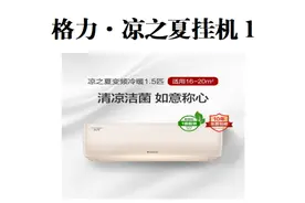 格力·凉之夏一级挂机视频封面