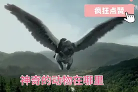 盘点哈利波特系列电影里出现的神奇动物#魔法玄幻视频封面