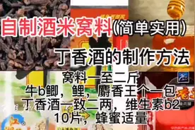 自制酒米窝料简单实用，丁香酒的制作方法视频封面