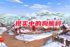 原来狗熊岭真的存在，现实中与熊出没相似的场景