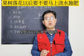 果树落花以后要不要马上浇水施肥？树是最好的老师！视频封面