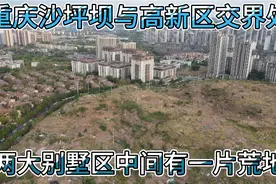 重庆高新区与沙坪坝交界处，两大别墅区之间，曾经的公园变菜地。视频封面