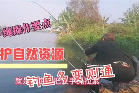 降大物失手绳使用技巧，放生母鱼爱护自然资源。钓鱼多变则通。视频封面