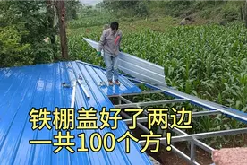 老七铁棚盖好了，两边100个平方左右，花费11600元，你觉得贵吗？视频封面