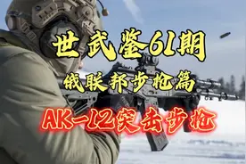 世武鉴61期丨俄罗斯最新一代制式步枪——AK-12系列突击步枪!视频封面