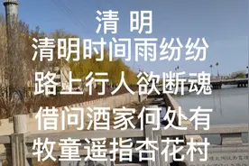 书法作品欣赏 唐代诗人 清明 清明时节雨纷纷 路上行人欲断魂视频封面