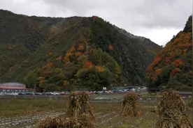 甘海子自驾上山？看完全程实拍再做决定吧！视频封面