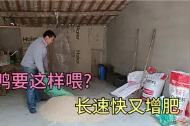 番鸭养殖新方法，鸭子常年喂点它?长速快又增肥视频封面