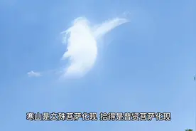 若真修道人，不见世间过视频封面