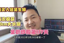 央企裸辞炒股第177天，开盘买入冠昊生物，再次收获20cm涨停视频封面