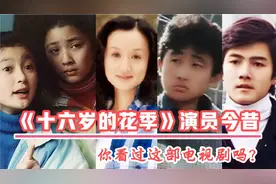 《十六岁的花季》演员今昔，白雪嫁富豪，非儿优雅漂亮，袁野发福视频封面