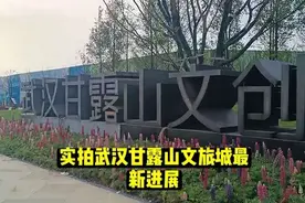 武汉甘露山文旅城最新施工进展，五一将盛大开放，总投资700亿视频封面