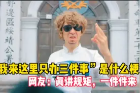“我来这里只办三件事”网友大型玩梗现场！这段太经典了视频封面