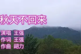 曾经风靡一时，王强伤感情歌《秋天不回来》，触动内心，动听依旧