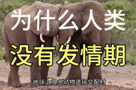人类生活便捷，随时随地都可以繁殖，动物就不一样了。视频封面