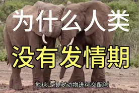 人类生活便捷，随时随地都可以繁殖，动物就不一样了。视频封面