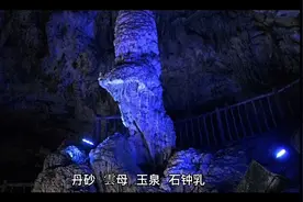 神农本草经之上品药一百二十种———天元视频封面