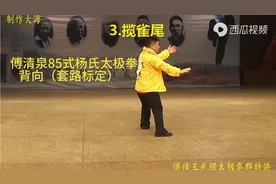 傅清泉老师杨氏太极拳85式背向全套演练（套路标注完备）视频封面