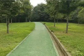 南京市栖霞区尧化门的太平山公园！视频封面