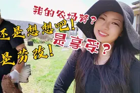 在澳洲实现农场梦和想象中一样吗？揭秘多少钱可以当农场主视频封面