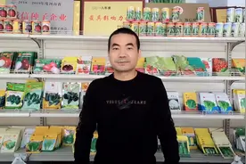 菠菜类型有哪些？ 趴地菠菜和直立的如何选择？种植前要知道这些视频封面