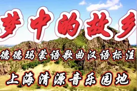 德德玛蒙语歌曲《梦中的故乡》汉语标注#音乐 #德德玛 #蒙语歌曲视频封面