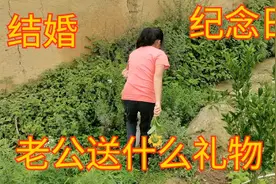 成都姑娘远嫁凉山农村，如今6周年结婚纪念日，看老公给她多少钱视频封面