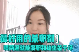 最好的杀卵剂，喷两遍就能将卵和幼虫杀干净，你知道是什么吗？视频封面