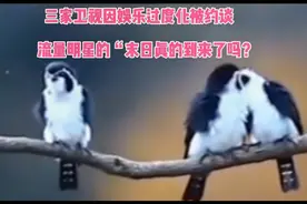 狠刹过度娱乐化之风，会是流量明星的“末日”吗？也许并不简单！视频封面