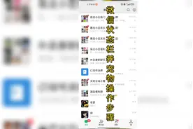 微信养宠物操作步骤视频封面