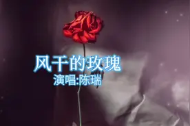 陈瑞用磁性沧桑的嗓音唱《风干的玫瑰》，凄美伤感，让人触景生情视频封面