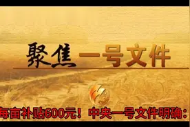 每亩补贴600元！今年中央一号文件做了明确规定增补提高至少40%!视频封面
