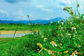 只要心中有沙，哪里都是马尔代夫视频封面