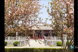 文革时期的伍豪事件视频封面