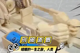 漂亮小姐姐教你上百种整蛊蟑螂的方法