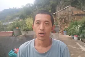 收个蜂蜜蜂群不进箱子了，要怎么处理才好？一起来学习一下吧视频封面