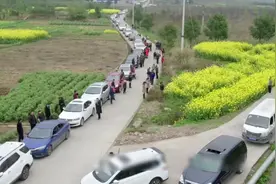 高速公路堵车水泄不通，农民工发现商机，日入十万视频封面