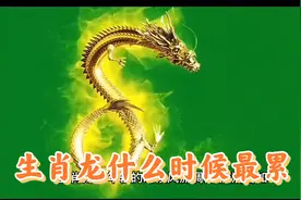 回答：生肖龙什么时候最累？视频封面