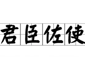 中药配伍，君臣佐使。视频封面