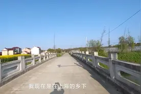 上海疫情下真实的乡下，所有村口都封了，只能田间散步视频封面