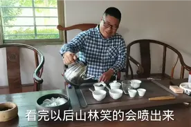 岳云鹏泡茶徒弟说茶麻又涩，说是舌面上的收敛感，听茶夫哥怎么说视频封面