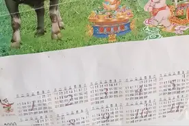 2009牛年挂历