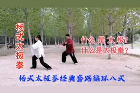 什么是太极？什么是太极拳？听老师讲解 看老师示范 茅塞顿开
