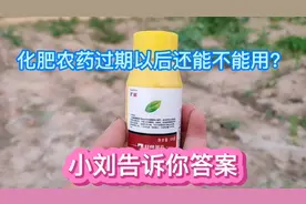 过期的化肥和农药究竟还能不能用？小刘告诉你答案，农民朋友请看视频封面