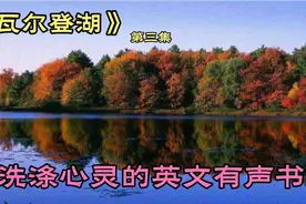 读懂《瓦尔登湖》，读懂梭罗！视频封面