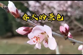 北京春天人们都在忙碌，看看他们都在干什么呢？视频封面