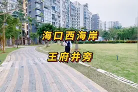海口新城区西海岸富人区王府井旁品质小区配套完善一梯一户视频封面