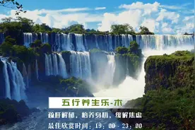 『五音疗疾』疏肝解郁，怡养身心，放松减压《云水逸》美不胜收视频封面