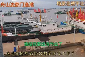 光头哥带你看风景，浙江省舟山市普陀区沈家门渔港，壮观不壮观视频封面