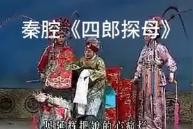 陈仁义原唱     王宏义配像秦腔《四郎探母》视频封面